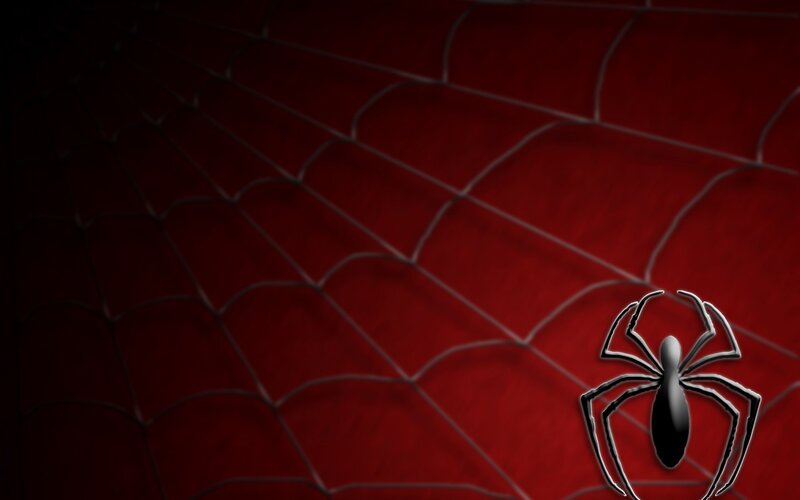 Spider Web Pattern — Red