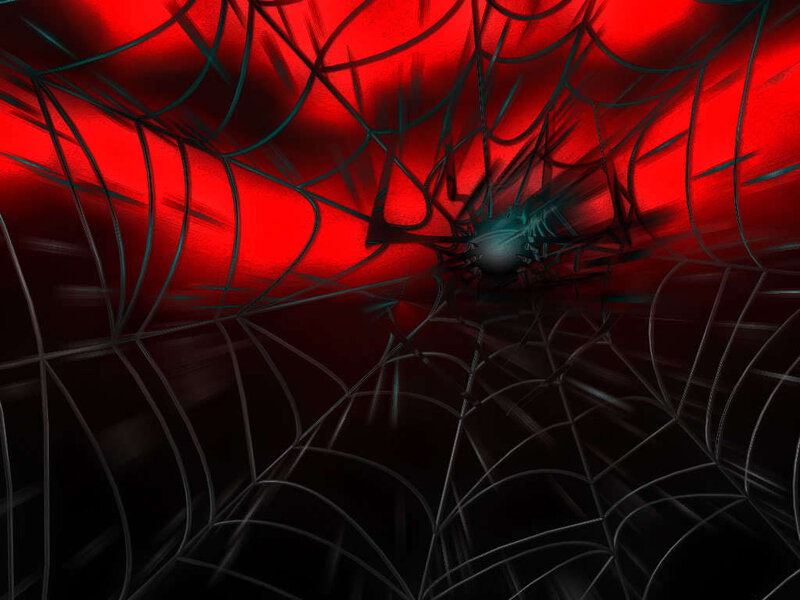 spider web tunnel