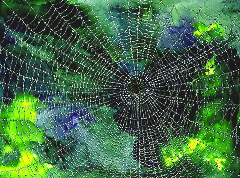 Spider web with dew drops