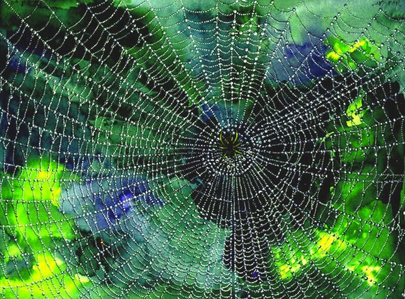 Spider Web with Dew — Green