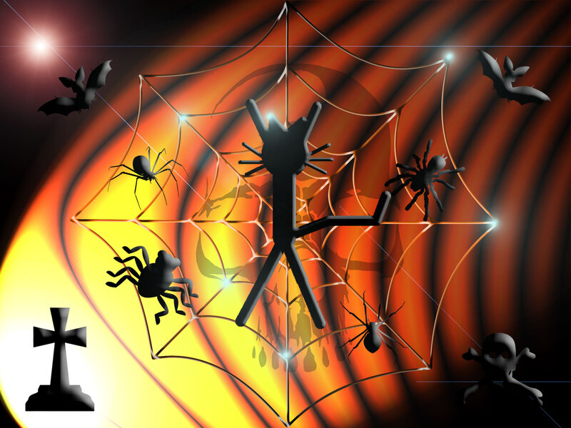Spider Web with Spiders