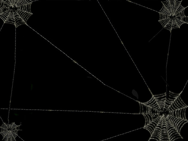 Spider Webs on Black