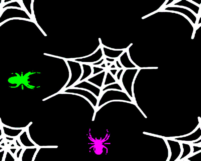 Spiders and Webs