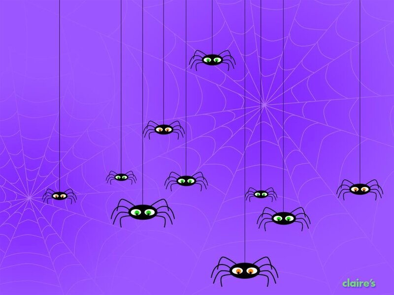 spiders hanging on webs
