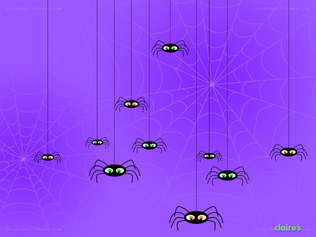 spiders hanging on webs