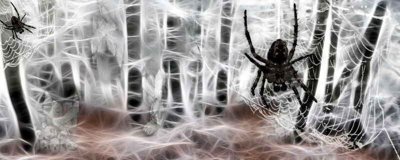 spiders in a web of light