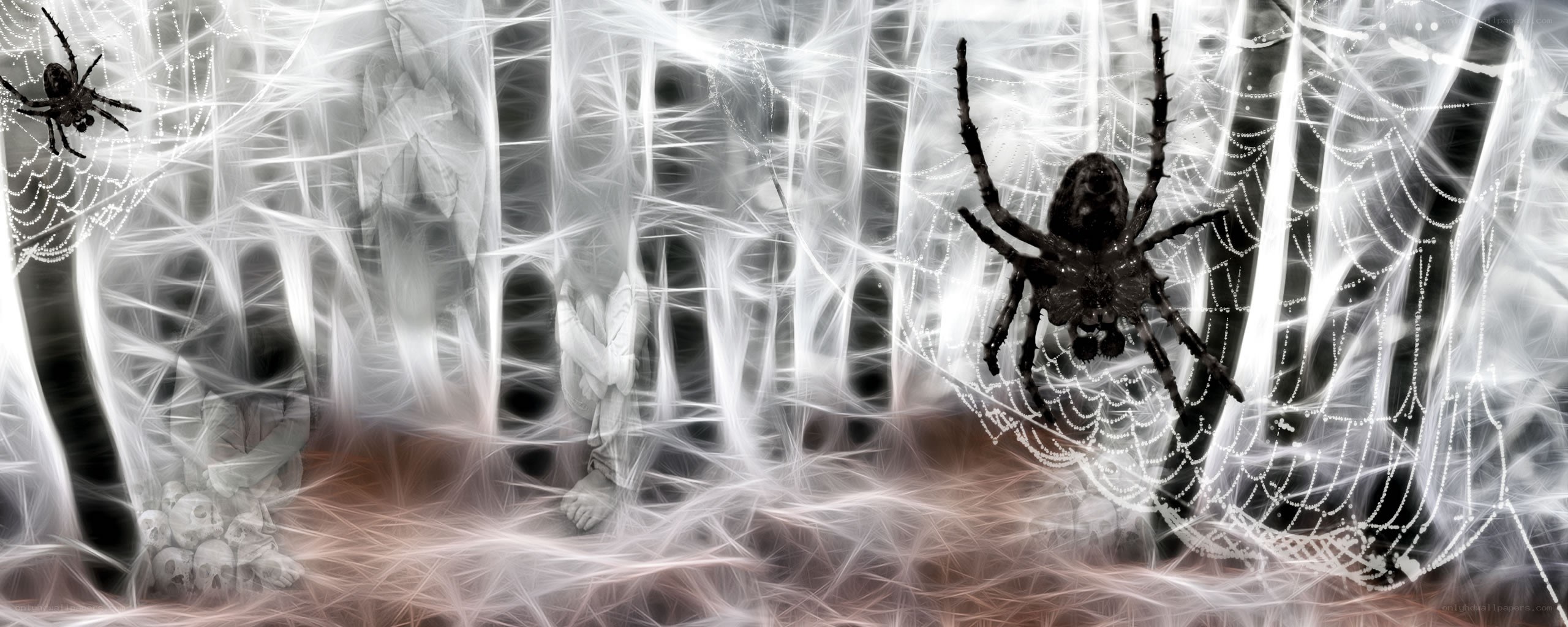 spiders in a web of light