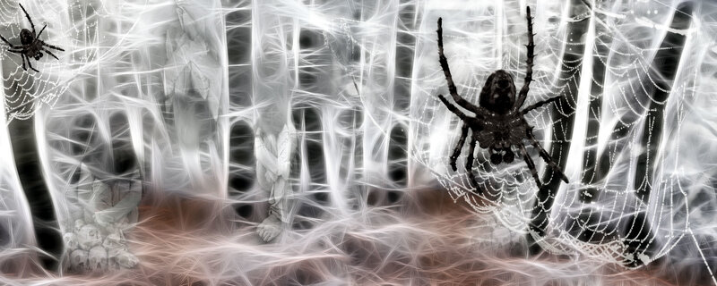 Spiders in Cobwebs