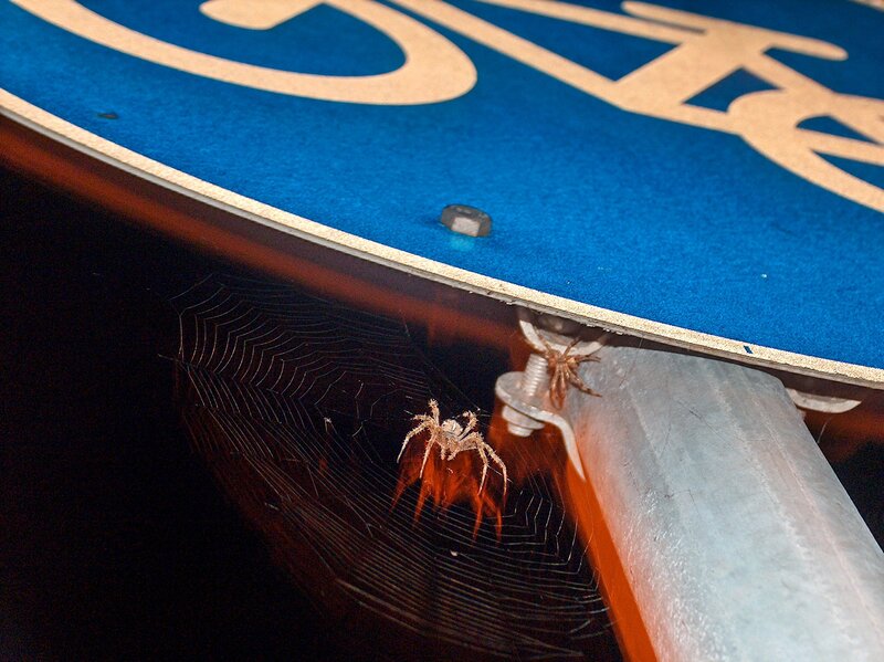 Spiders on a sign