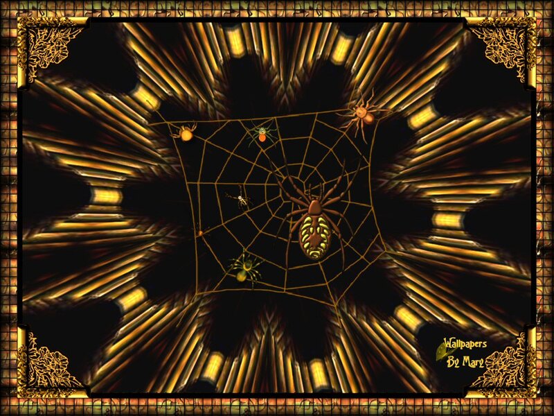 Spiders on a Web — Black, Dramatic