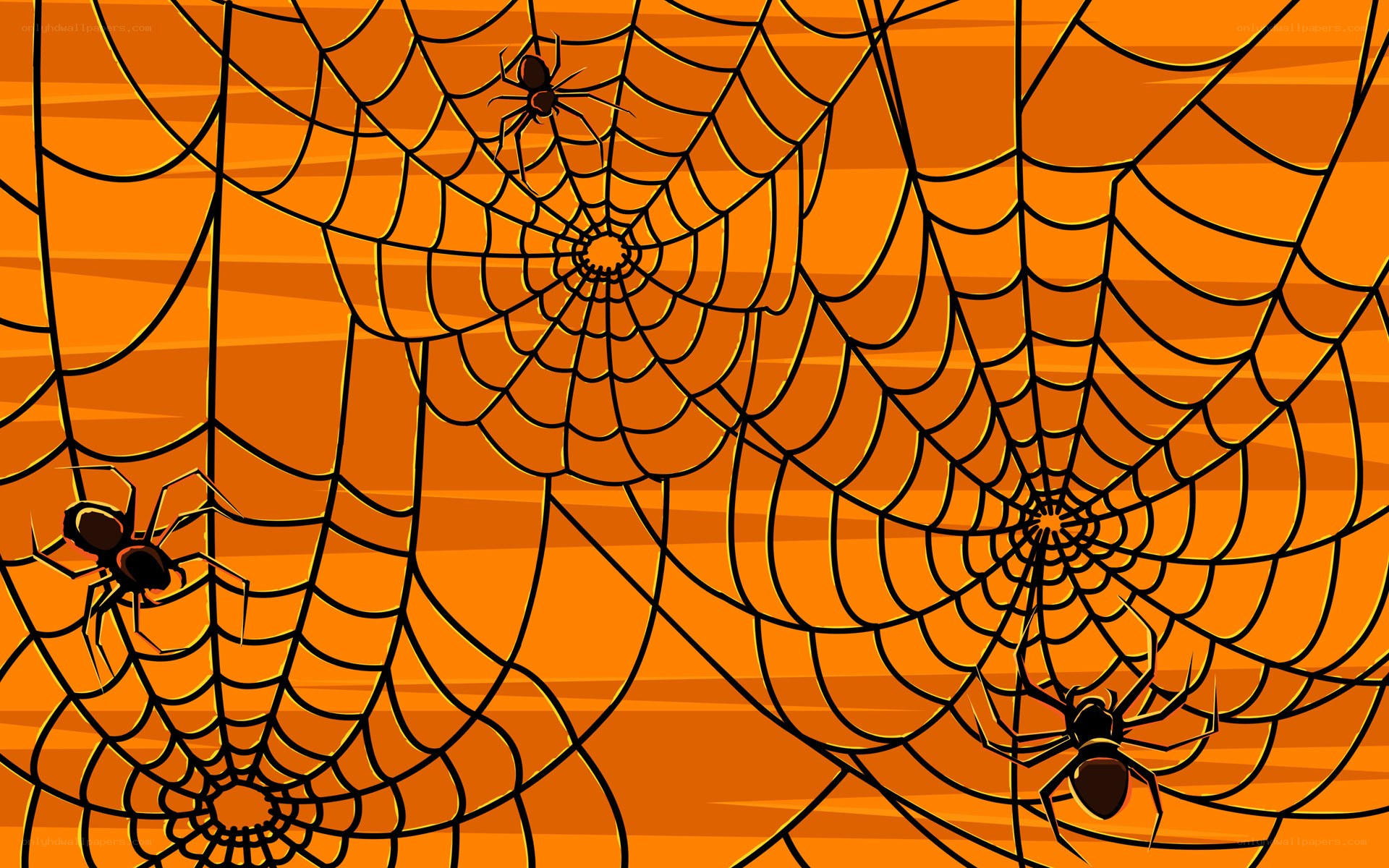spiders on orange webs