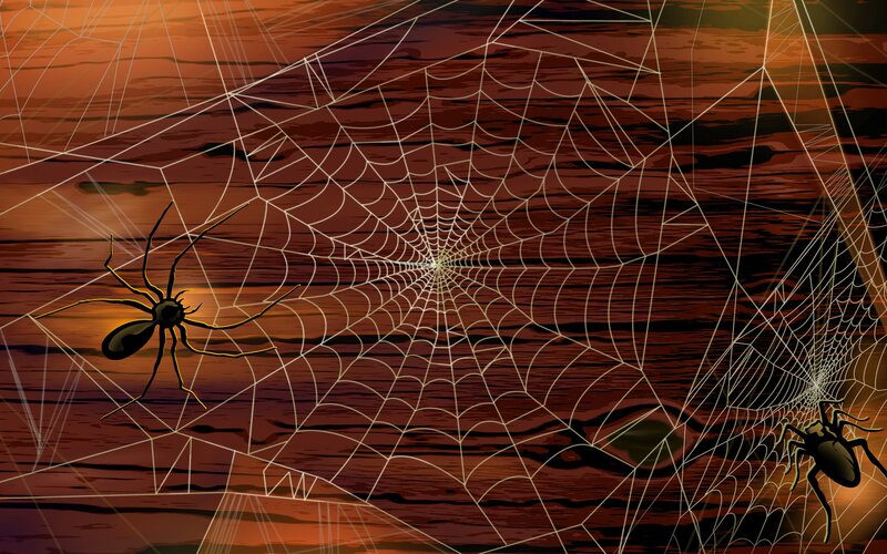 Spiders on Webs — Brown, Dark