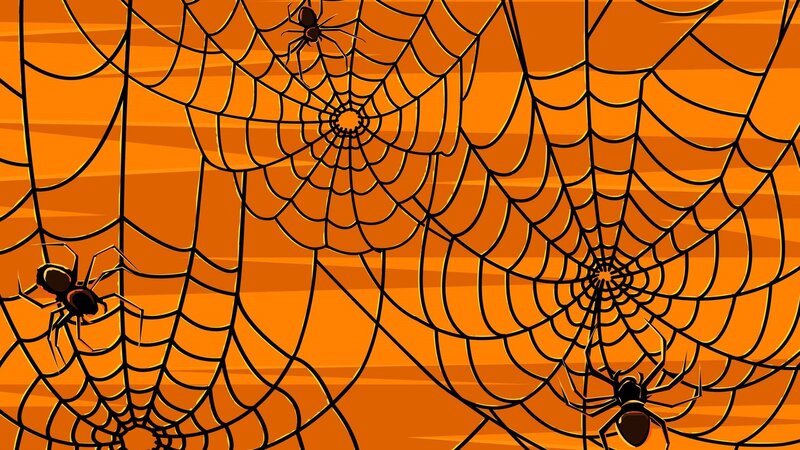 Spiders on Webs — Orange, Creepy, Night, Vector Art