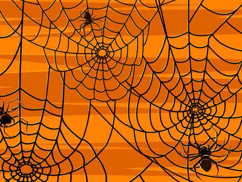 Spiders on Webs — Orange, Creepy