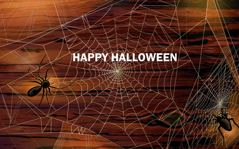 Spiders on Webs