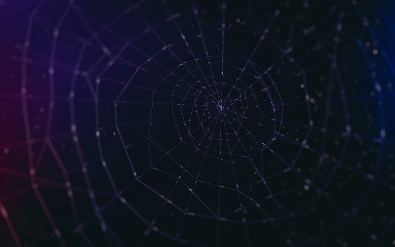 Spiderweb in Dark Space