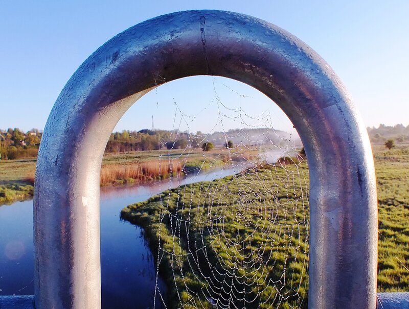 Spiderweb on Metal Arch