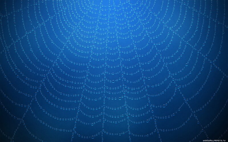 Spiderweb with Dew Drops — Blue, Serene, Digital Art, Dew Drops