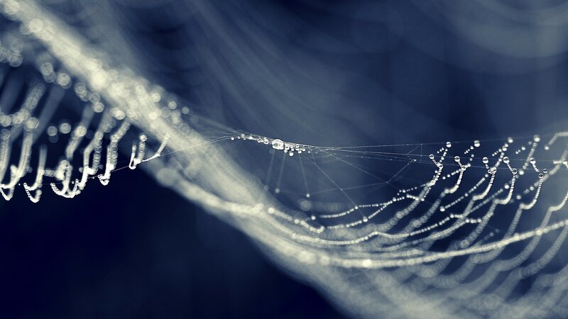 Spiderweb with Dew Drops — Blue, Serene, Night, Photograph, Cobweb, Dark Background