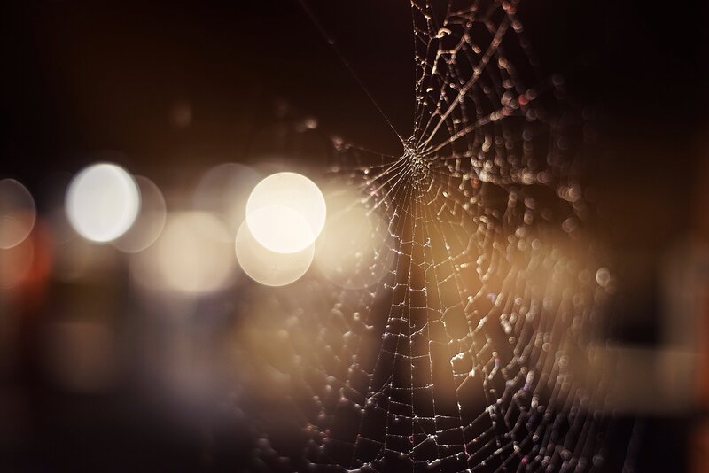 Spiderweb with Dewdrops — Black, Serene, Night, Photograph, Bokeh Lights
