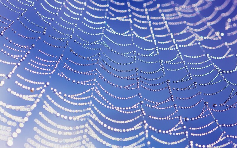 Spiderweb with Dewdrops — Blue, Photograph