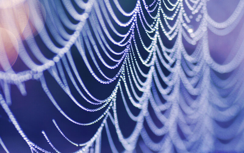 Spiderweb with Dewdrops — Blue, Serene, Night