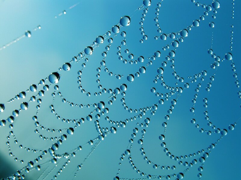 Spiderweb with Dewdrops — Sky
