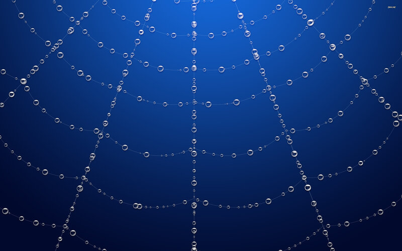 Spiderweb with Water Droplets — Blue