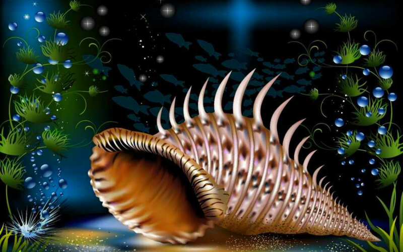 Spiked Seashell — Blue