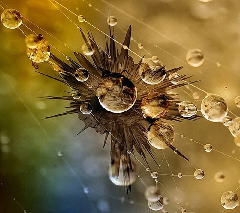 Spiky Sphere with Droplets
