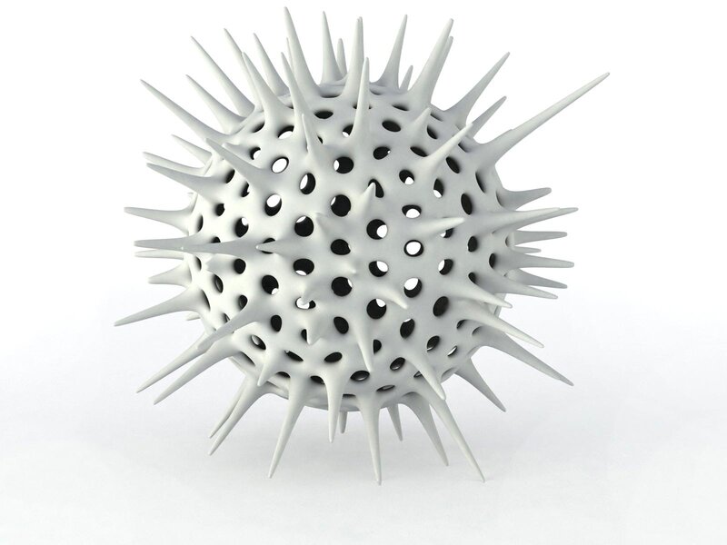 spiky spherical object