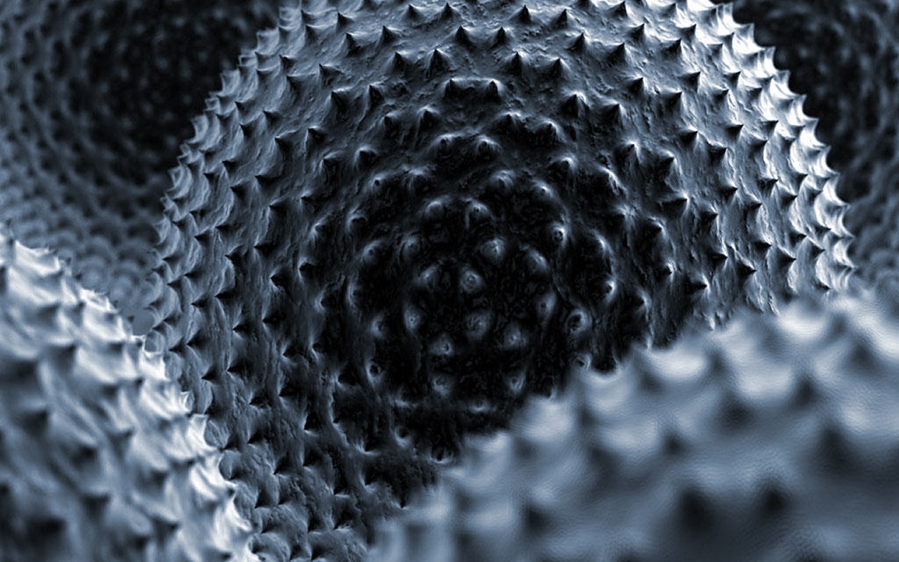 spiky spherical surface
