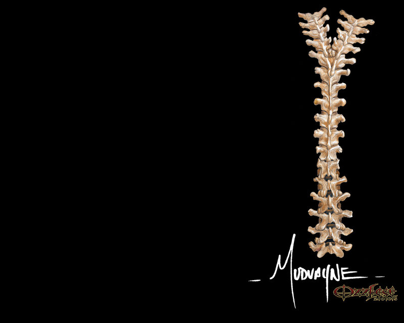 spinal column illustration