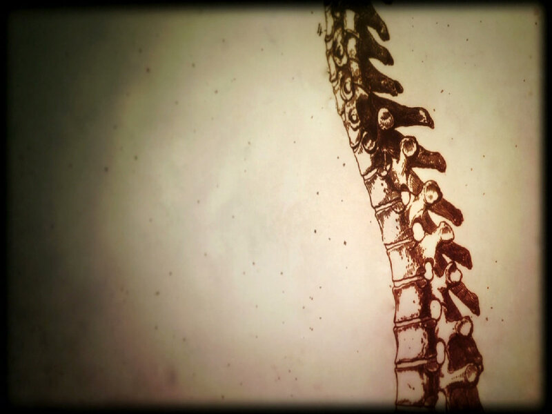 Spinal Column Illustration — Brown