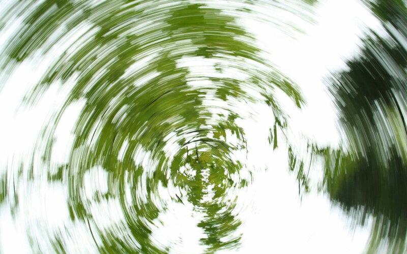 spinning green foliage motion