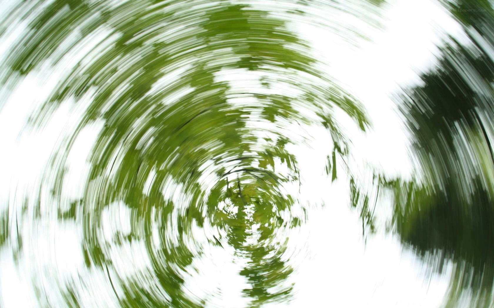 spinning green foliage motion