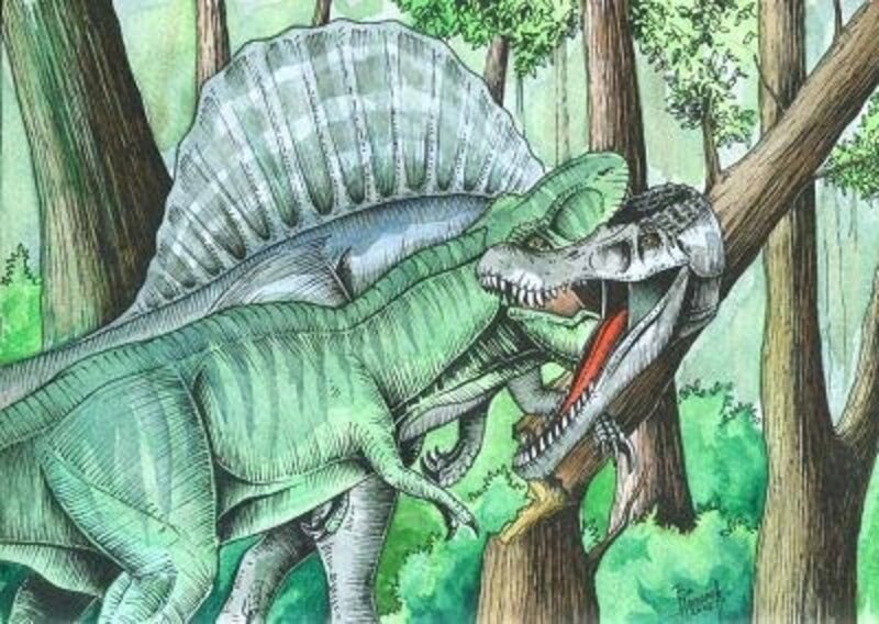 Spinosaurus Fighting Dinosaur