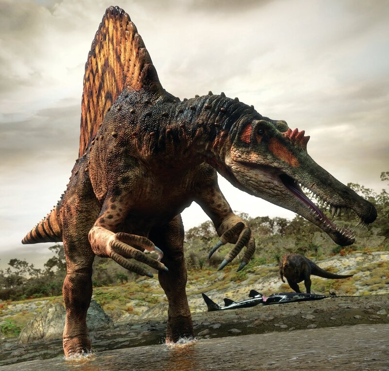 Spinosaurus in Water