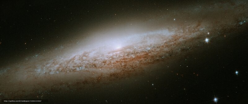 Spiral Galaxy — Black, Cosmic, Night, Photograph, Stars, Dust Lanes