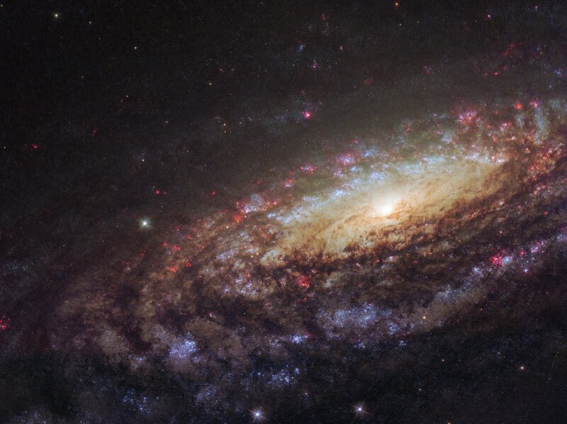 Spiral Galaxy — Black, Cosmic, Night, Photograph, Stars, Nebulae, Dust