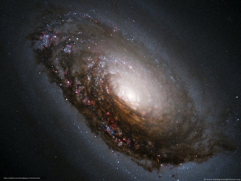 Spiral Galaxy — Black, Cosmic, Photograph, Stars, Dust, Nebula