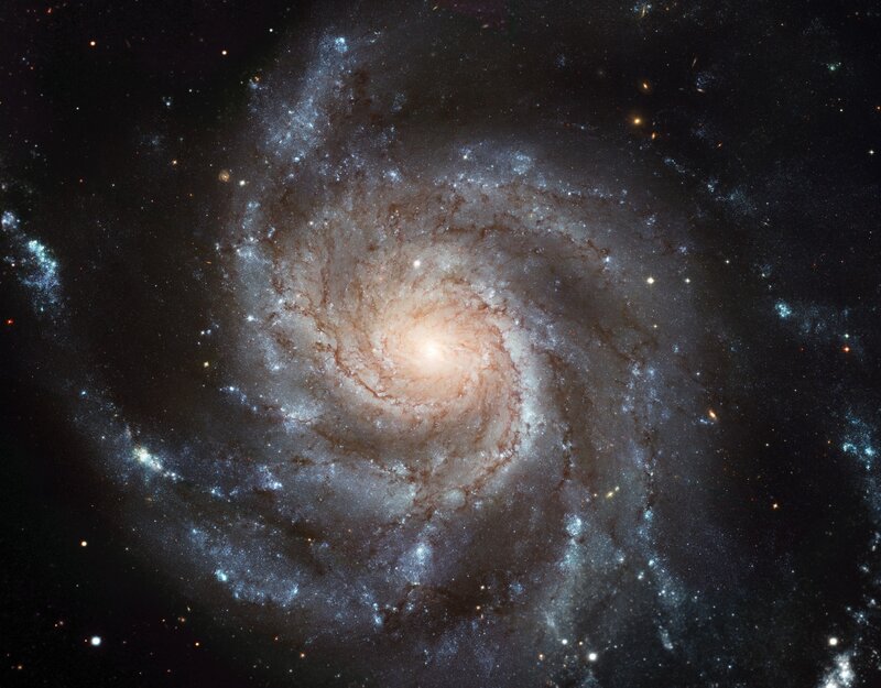 Spiral Galaxy — Black, Cosmic, Photograph, Stars, Nebula, Space, White, Blue