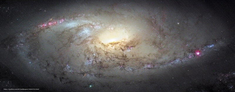Spiral Galaxy — Black, Cosmic, Photograph, Stars, Nebulae, Dust