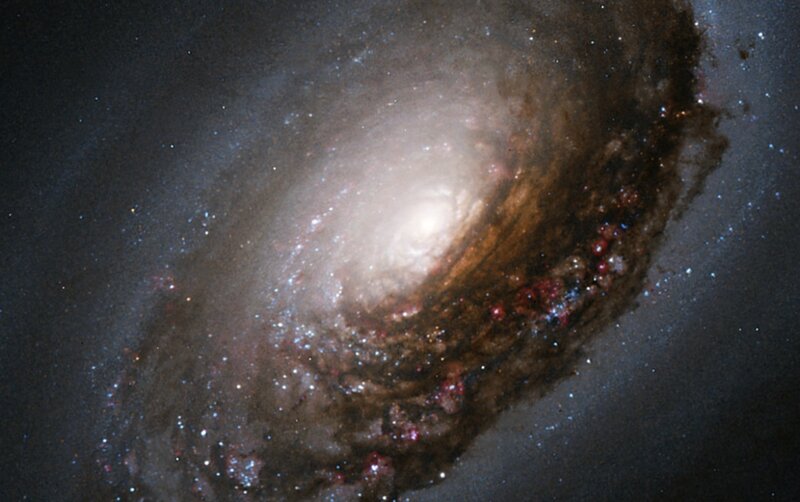 Spiral Galaxy — Black, Dust