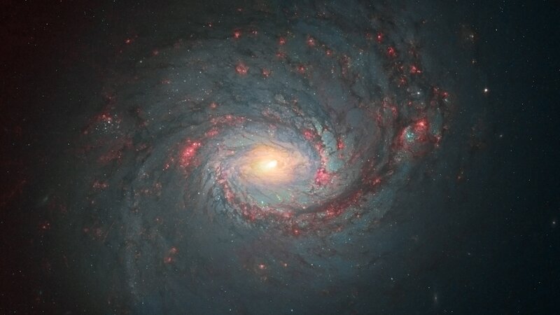 Spiral Galaxy — Blue, Cosmic, Night, Photograph, Stars, Nebulae