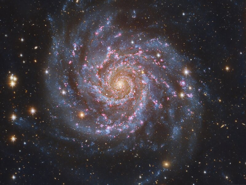 Spiral Galaxy — Blue, Purple