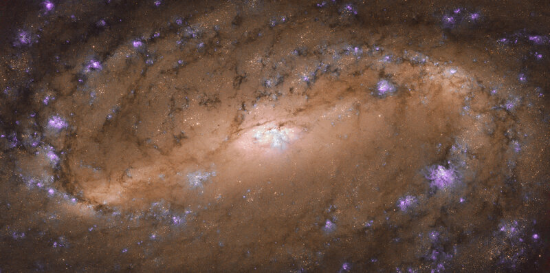 Spiral Galaxy — Brown, Cosmic, Photograph