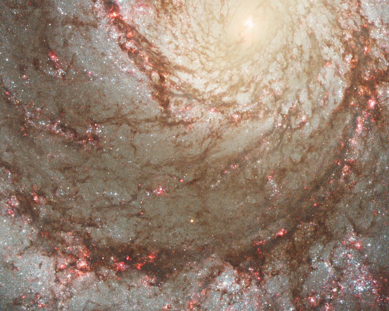 Spiral galaxy core