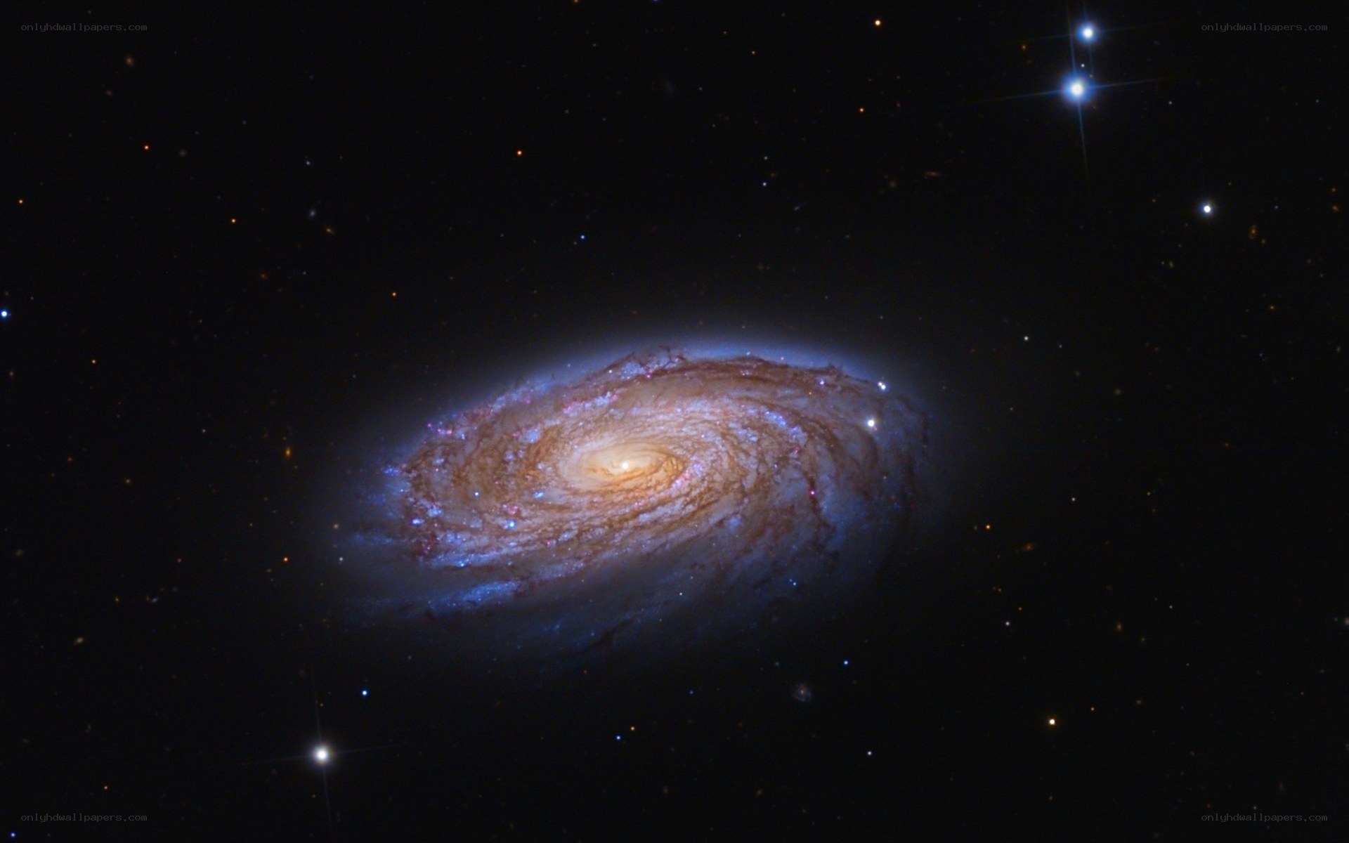 Spiral galaxy in deep space