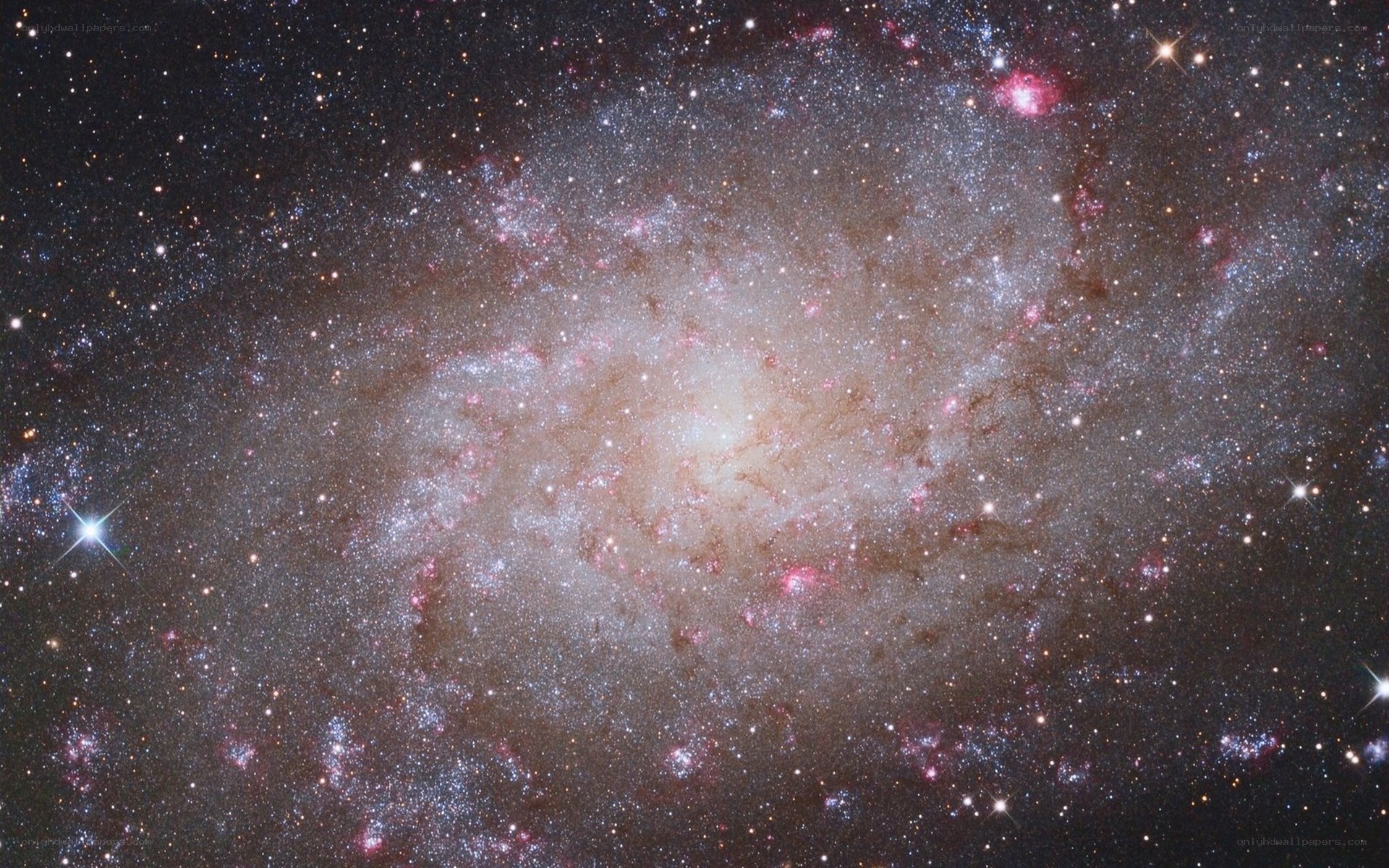 Spiral galaxy in deep space